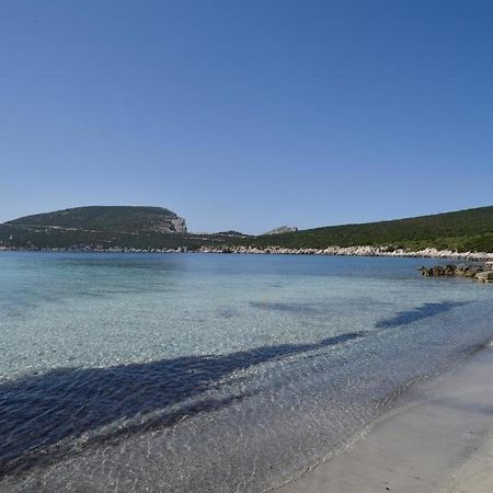 Pischina Salida-Villetta Pavoncelle Alghero Eksteriør bilde